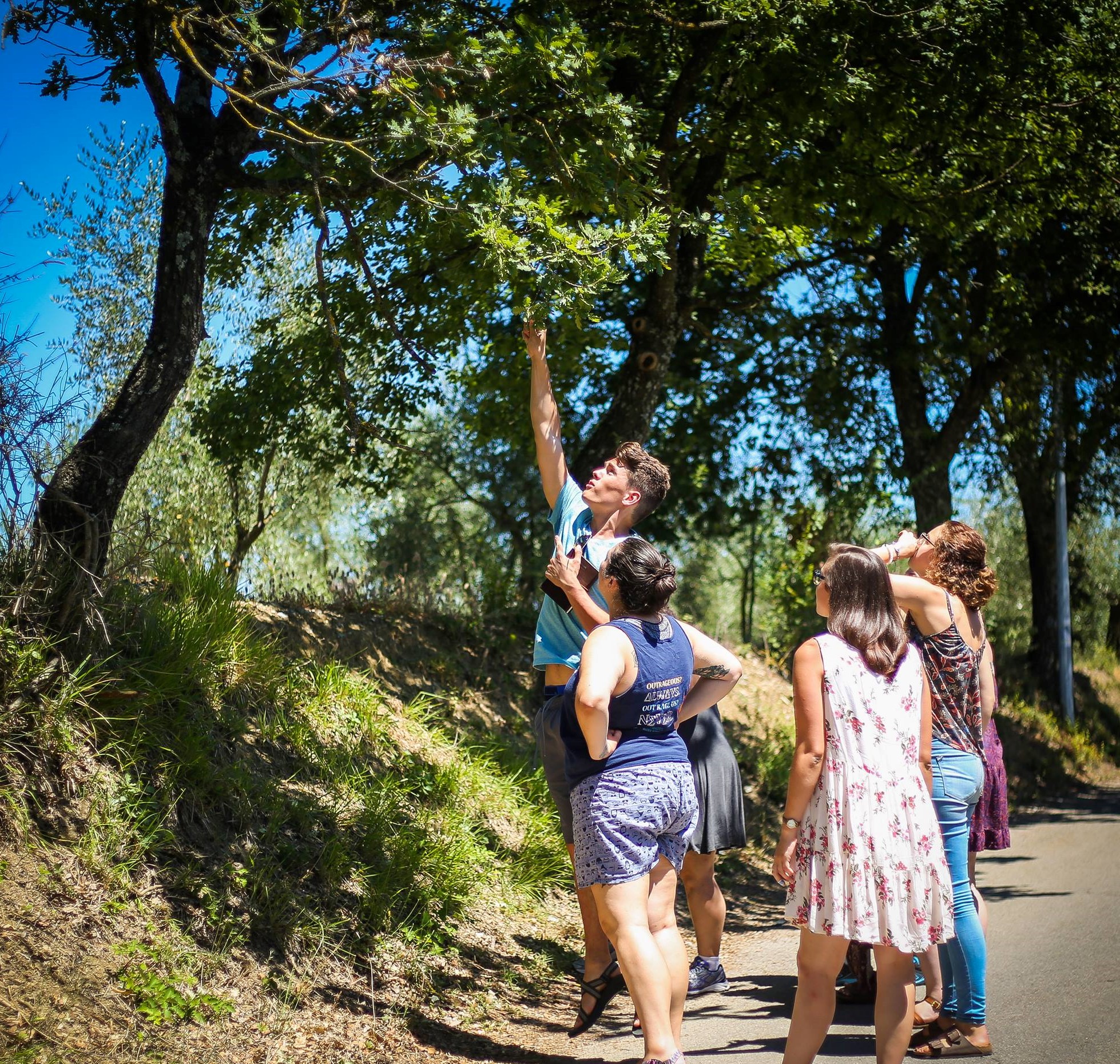 13839790_10154332646734603_1413263145_o