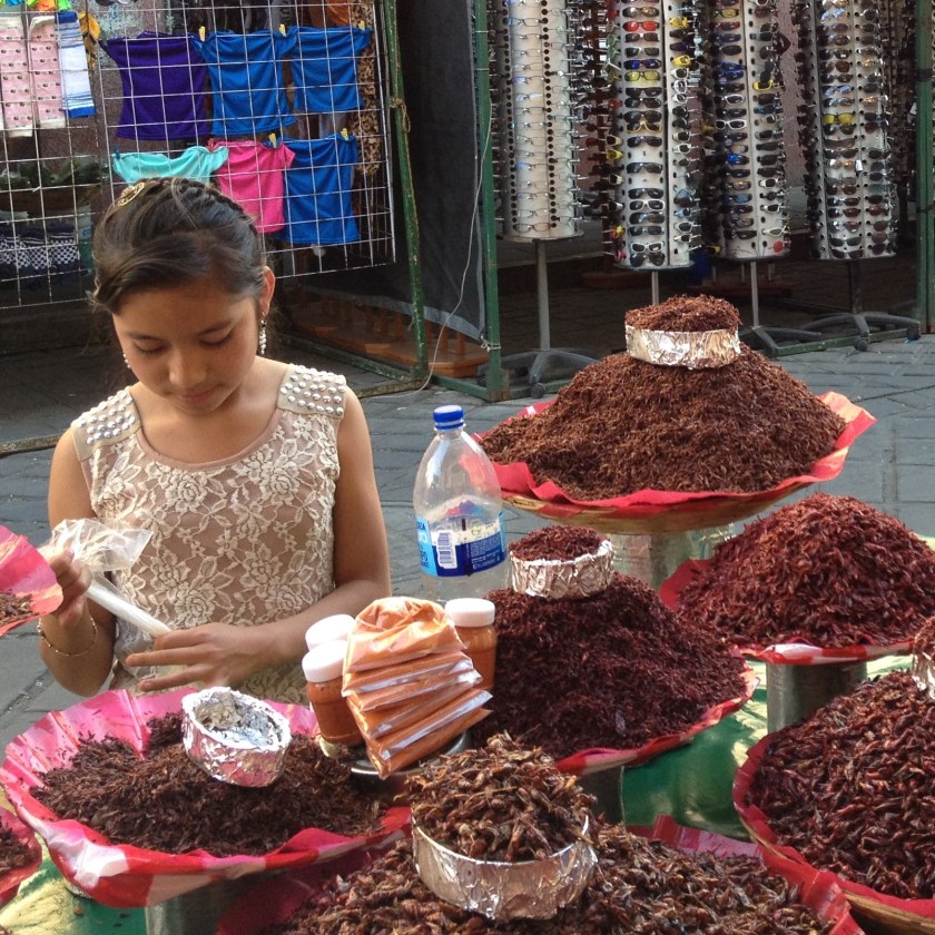chapulines market