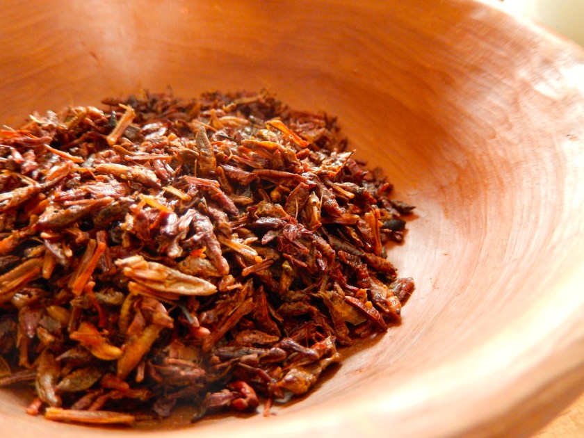 chapulines